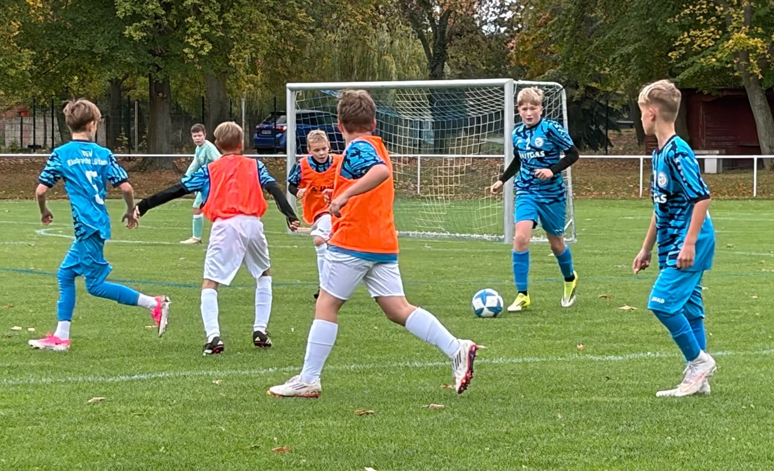 20 Leißling