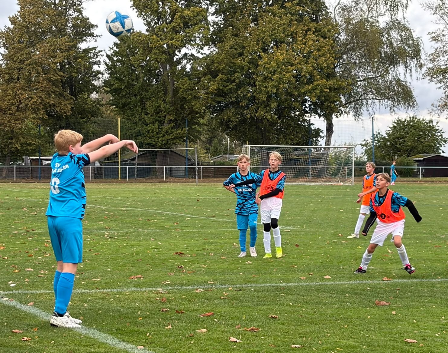 26 Leißling