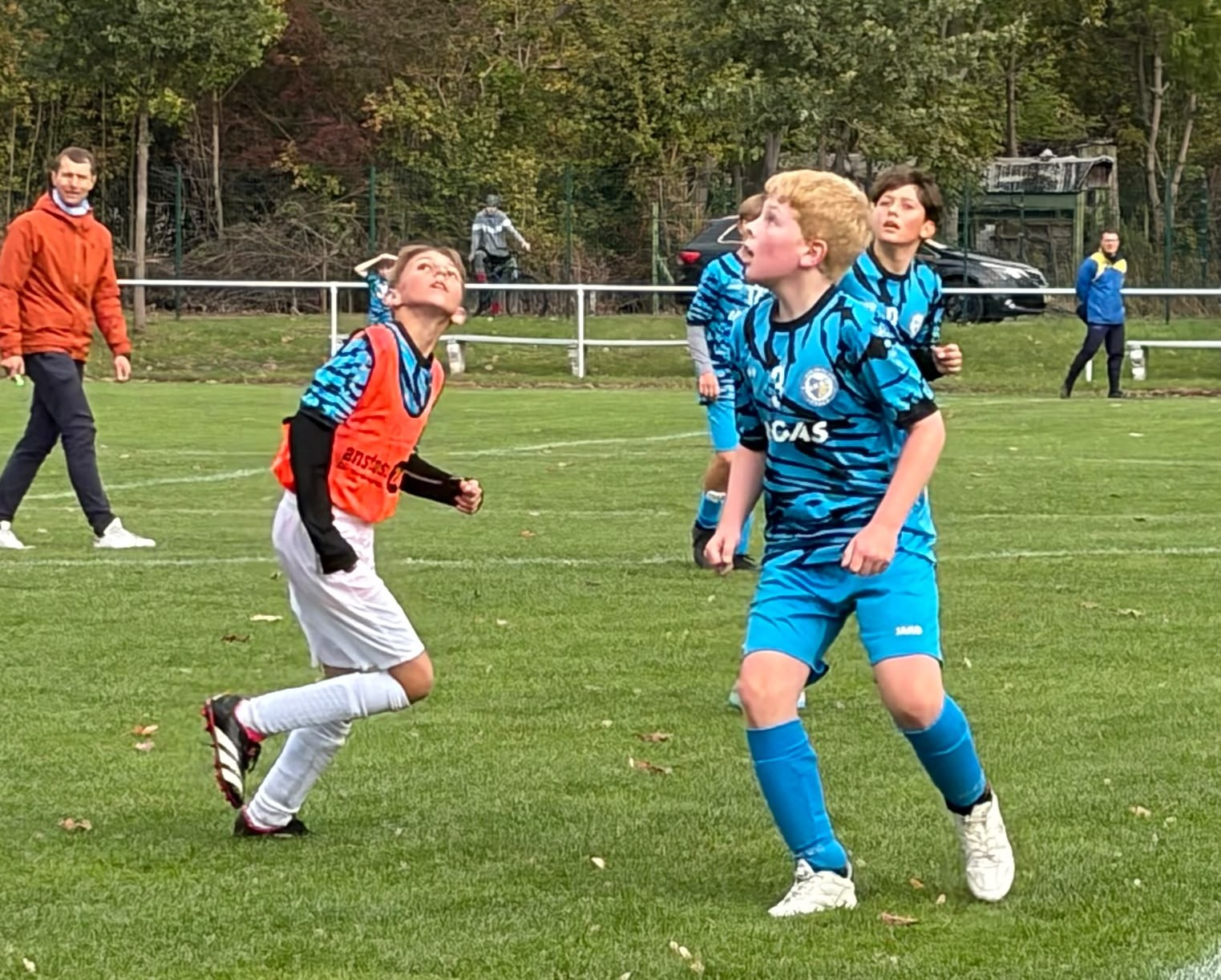 28 Leißling