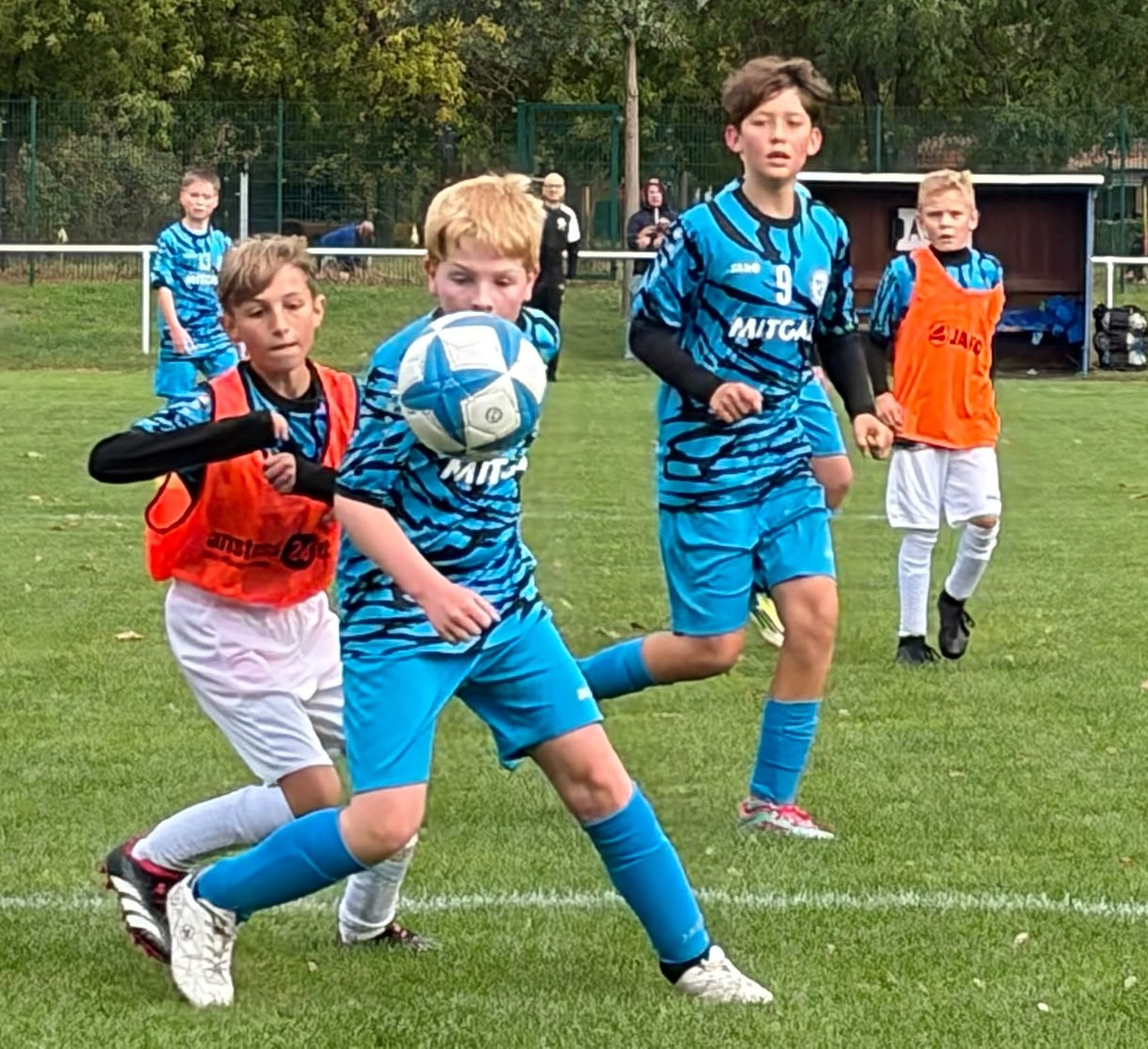 29 Leißling