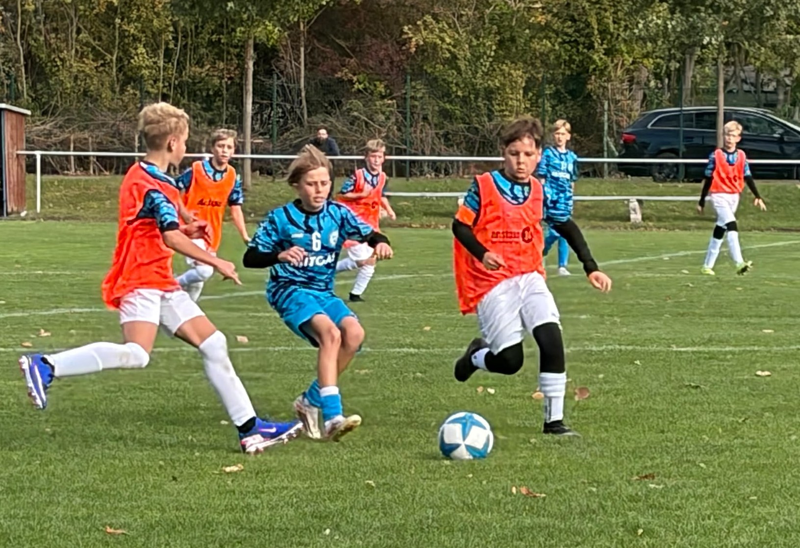 31 Leißling