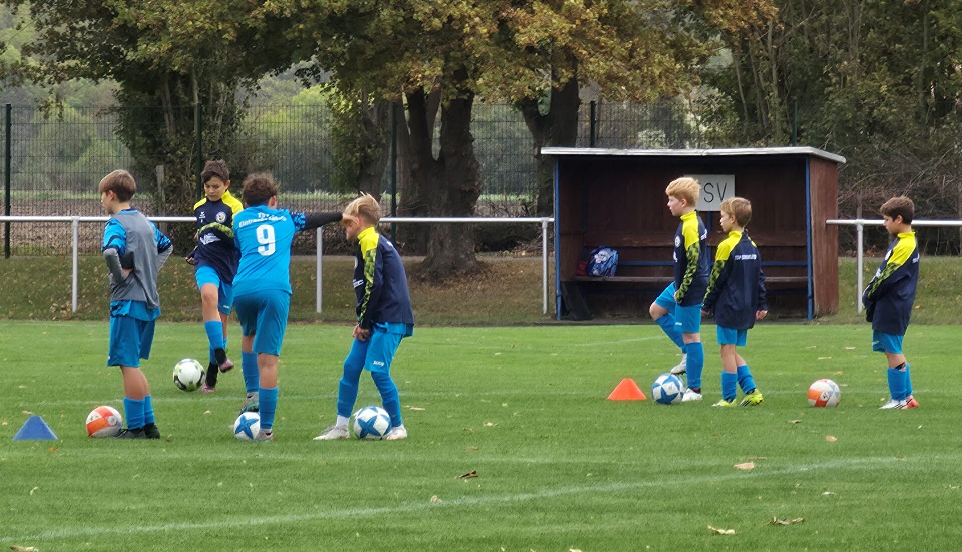 51 Leißling